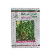 Chilli / Hot Pepper Jyoti-143 10 grams